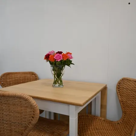 Muehlengasseone Tinyhome בית נופש Lenzing